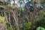 2035 Colville Road, Colville - Carousel 8