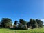 3752 Karamea Highway, Little Wanganui - Carousel 33