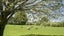 185 Masterton Castlepoint Road, Te Ore Ore, Masterton - Carousel 3
