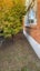 12 Anthony Crescent, Bader, Hamilton - Carousel 17