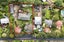 0 Huia Street, Utiku, Taihape - Carousel 1