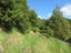 320 Takahue Saddle Road, Takahue, Kaitaia - Carousel 23