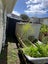 55B Stamford Park Road, Mount Roskill, Auckland - Carousel 4
