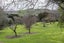 670 Gore Bay Road, Gore Bay, Cheviot - Carousel 33