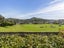 24 Kano Street, Karori, Wellington - Carousel 9