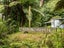 217 Soldiers Road, Lower Kaimai, Tauranga - Carousel 32