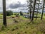 500 Foxton Shannon Road, Foxton, Foxton - Carousel 19