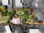 35 Scotland Street, Roxburgh, Roxburgh - Carousel 17
