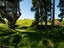 0 Ruatiti Rd, Ruatiti - Carousel 7