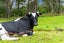 14 Woodland Road, Maungaturoto, Maungaturoto - Carousel 25