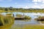 17 Shelly Beach Road, Surfdale, Waiheke Island - Carousel 21
