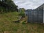 52 Grenada Avenue, Forrest Hill, Auckland - Carousel 10