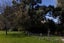 1067 Milton Highway, Lovells Flat - Carousel 23