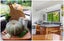 103 Warner Road, Oropi, Tauranga - Carousel 10