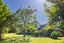 47D Poplar Lane, Matangi, Hamilton - Carousel 7