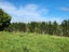 144 Ackworth Road, Lepperton, New Plymouth - Carousel 14