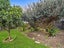 125 Holland Road, Fairfield, Hamilton - Carousel 20