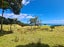 1702 Colville Road, Amodeo Bay, Coromandel - Carousel 16
