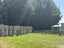 750 Woodlands Invercargill Highway, Longbush, Invercargill - Carousel 14