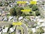 13 Romney Place, Manurewa, Auckland - Carousel 12