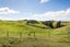 21 Bush Lane, Feilding, Feilding - Carousel 23