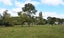 100 Takapu Road, Manakau, Levin - Carousel 18