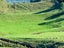 114 Aorangi Road, Paeroa, Paeroa - Carousel 7