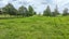 880 Kopuku Road, Maramarua Forest, Te Kauwhata - Carousel 4