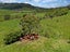 304B Pigeon Flat Road, Mount Cargill, Waitati - Carousel 3