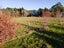 132 Sheep Dip Road, Woodbury - Carousel 5