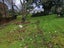 4815 State Highway 12, Kaikohe, Kaikohe - Carousel 39