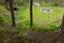 365 Whangamata Road, Kinloch, Taupo, Waikato - Carousel 35