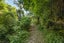 77 Dorset Road, Hillsborough, New Plymouth - Carousel 15