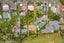 11A Oates Road, Glen Eden, Auckland - Carousel 32