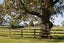 0 Harding Road, Turangaomoana, Matamata - Carousel 8