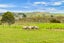 6B Tangowahine Valley Road, Tangowahine, Dargaville - Carousel 24