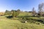 208 Adelaide Road, Dannevirke, Dannevirke - Carousel 22
