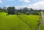 870 Pirongia Road, Pirongia, Pirongia - Carousel 11