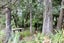 0 Birchfield Road, Birchfield, Westport - Carousel 15