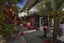 7 Woollams Road, Onetangi, Waiheke Island - Carousel 2