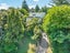 24 Ragley Street, Titirangi, Auckland - Carousel 1