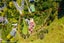 8 Wairere Road, Bastia Hill, Whanganui - Carousel 34