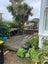 65 Coromandel Street, Newtown, Wellington - Carousel 2