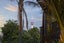 13 Collingwood Street, Freemans Bay, Auckland - Carousel 4