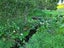54 Hall Road, Matakohe - Carousel 11