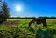0 Carters Road, Lincoln, Christchurch - Carousel 44