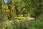 54 De Boer Lane, Kaiwaka - Carousel 18