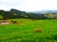 0 Fisher-Riley Road, Kaitaia, Kaitaia - Carousel 2