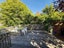 52 Melrose Street, Roslyn, Dunedin - Carousel 20