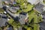 15 Observatory Close, Whitby, Porirua - Carousel 38